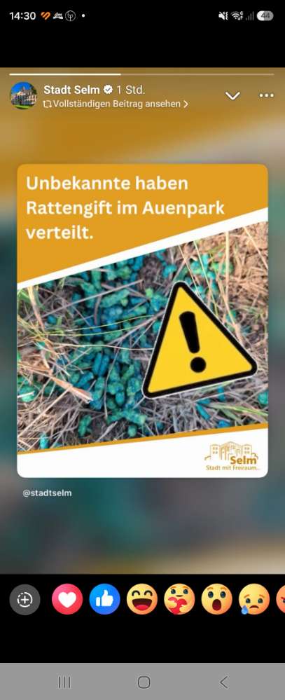 Giftköder-Rattengift-Profilbild