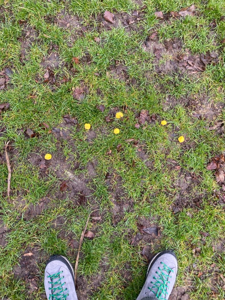 Giftköder-vermutlich Giftköder-Profilbild