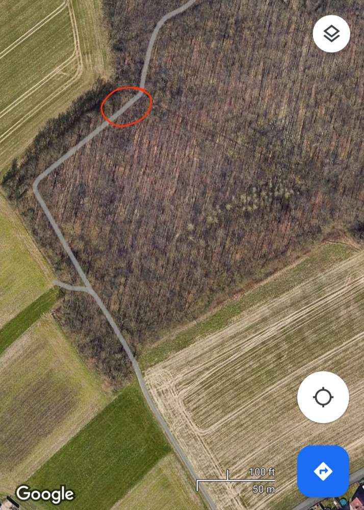 Giftköder-Toter Hase im Gebüsch-Profilbild