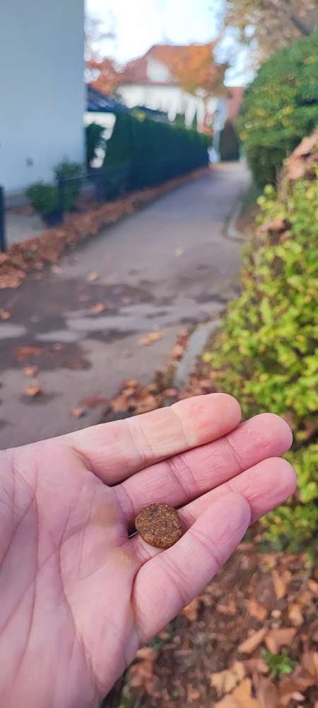 Giftköder-Vermutlich Giftköder-Profilbild