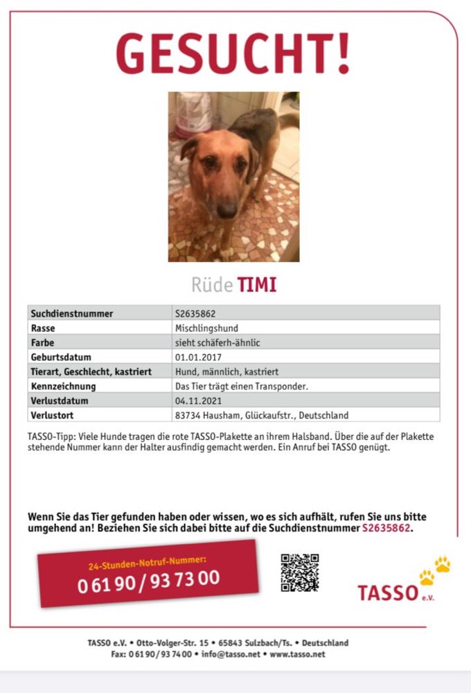 Suchmeldung-Timmy-Profilbild