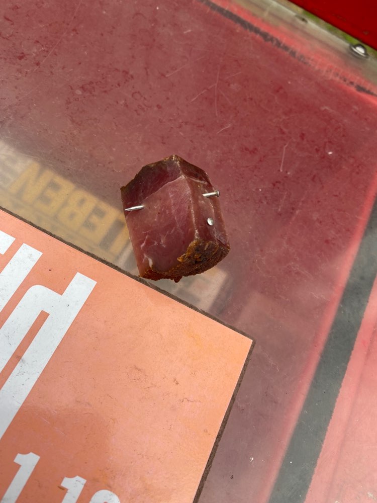 Giftköder-Schinken mit Nägel-Profilbild