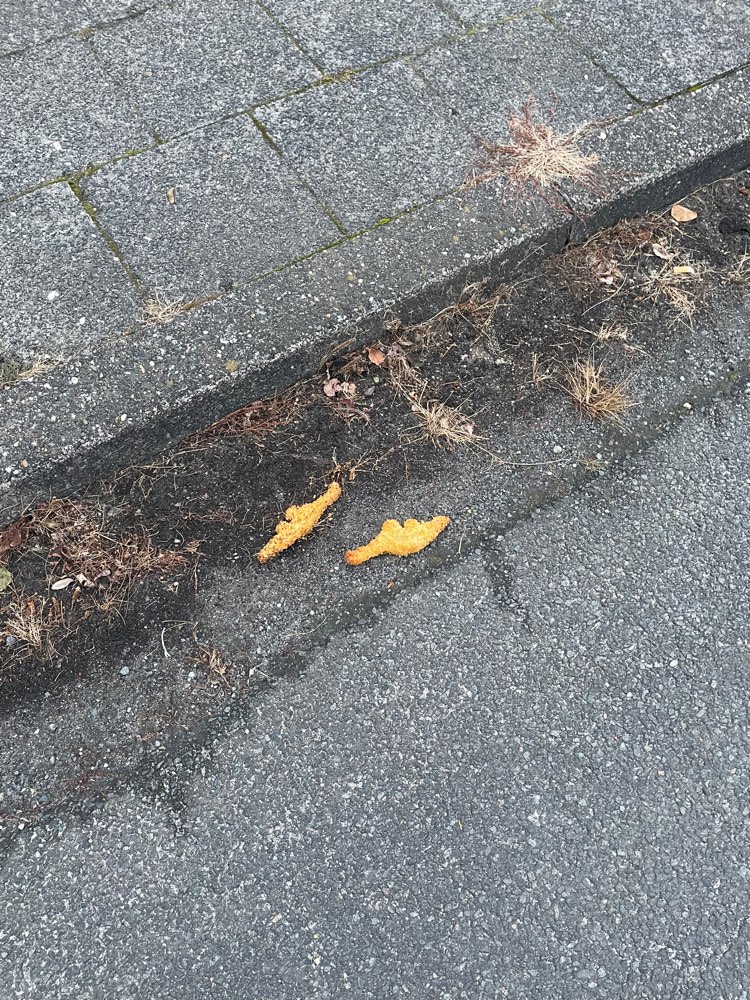 Giftköder-Schnitzel in Haskamp Alter Postweg-Profilbild