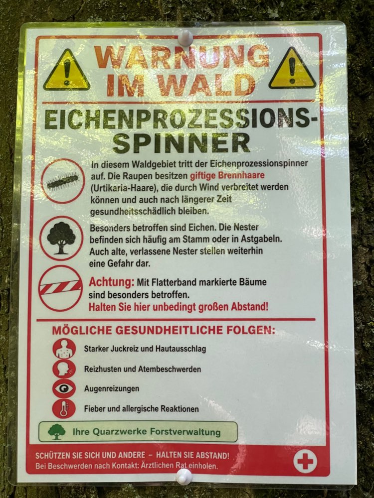 Giftköder-Eichenprozessionsspinner-Profilbild