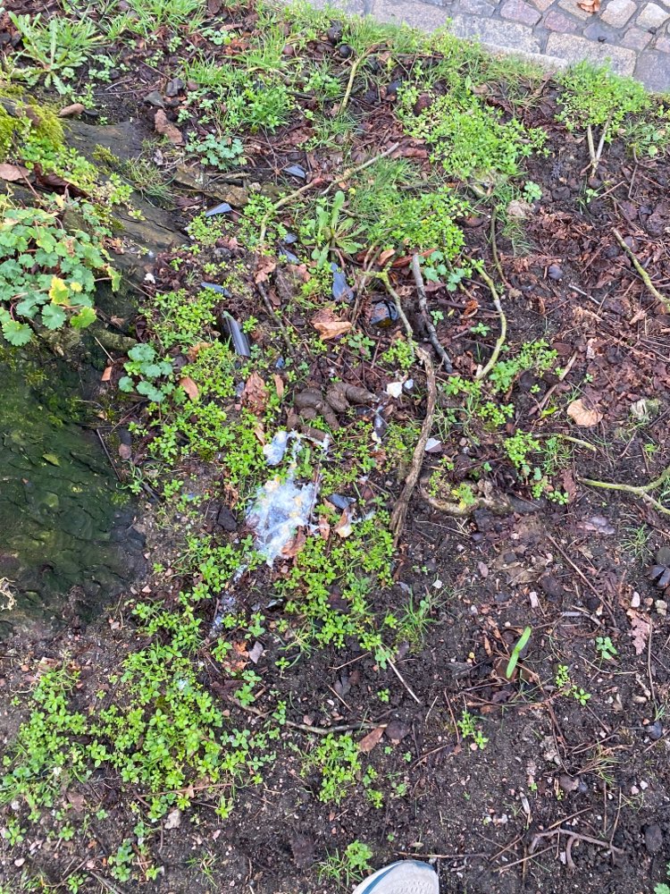 Giftköder-Erneut undefinierbare Masse & Scherben-Profilbild