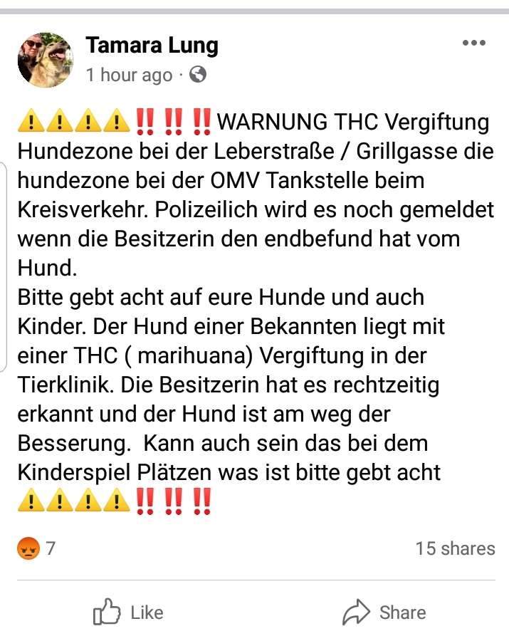 Giftköder-Hund vergiftet-Profilbild