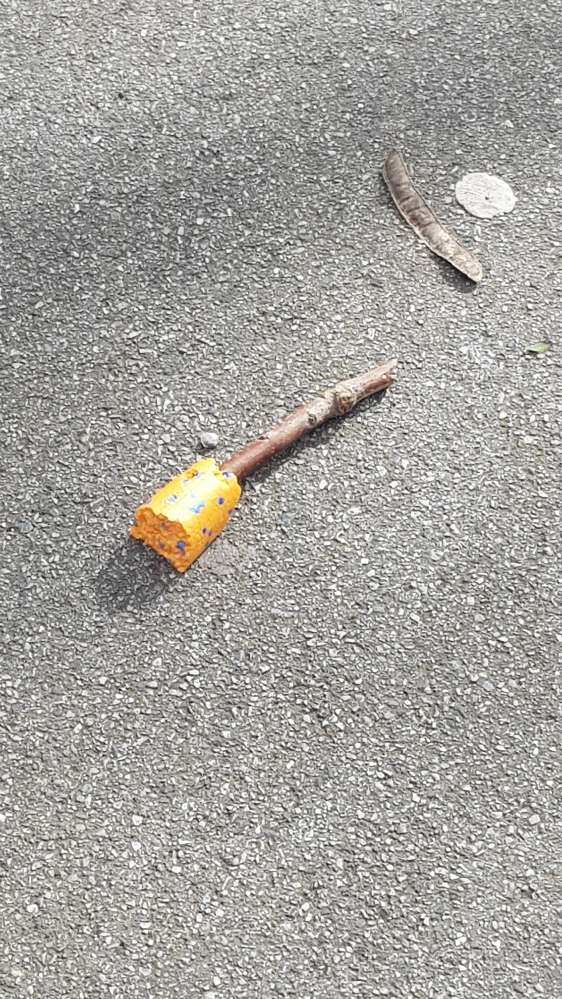 Giftköder-Blaukorn Giftköder-Profilbild