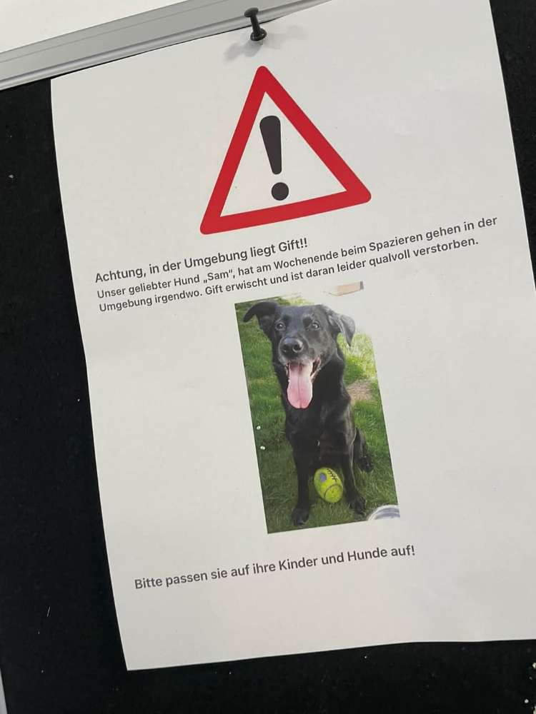 Giftköder-Tödlicher Giftköder-Profilbild