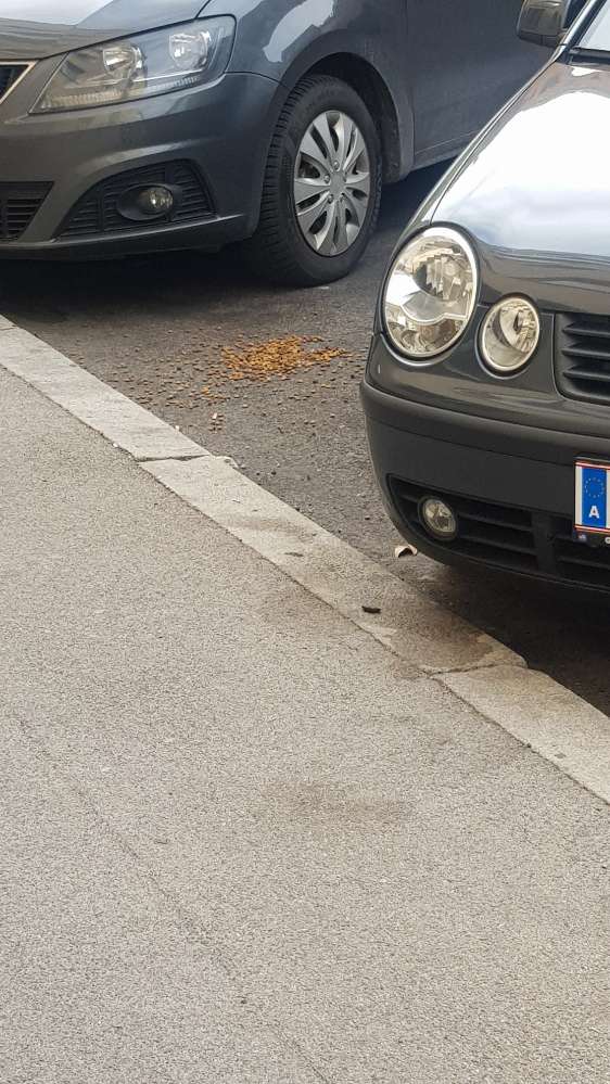 Giftköder-Möglicher Giftköder-Profilbild