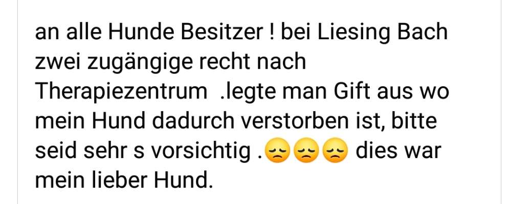Giftköder-Hund durch Gift verstorben-Profilbild