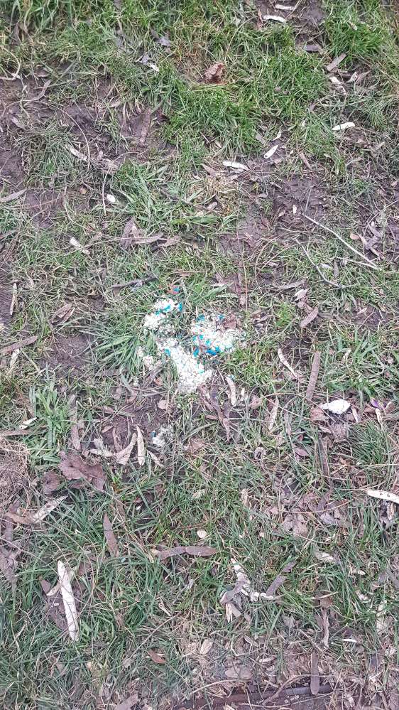 Giftköder-Giftköder Laubepark-Profilbild