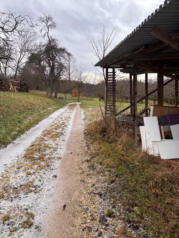 Giftköder-Eventuell Giftköder Wurststücke-Profilbild