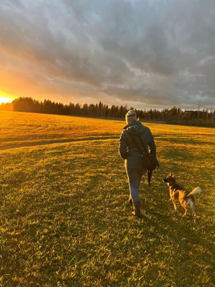 Hundetreffen-Vom Spaziergang bis hin zu neuen Abenteuern-Profilbild