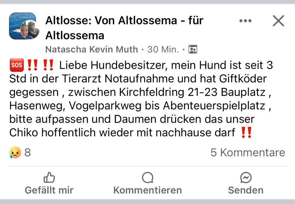 Giftköder-Giftköder-Profilbild