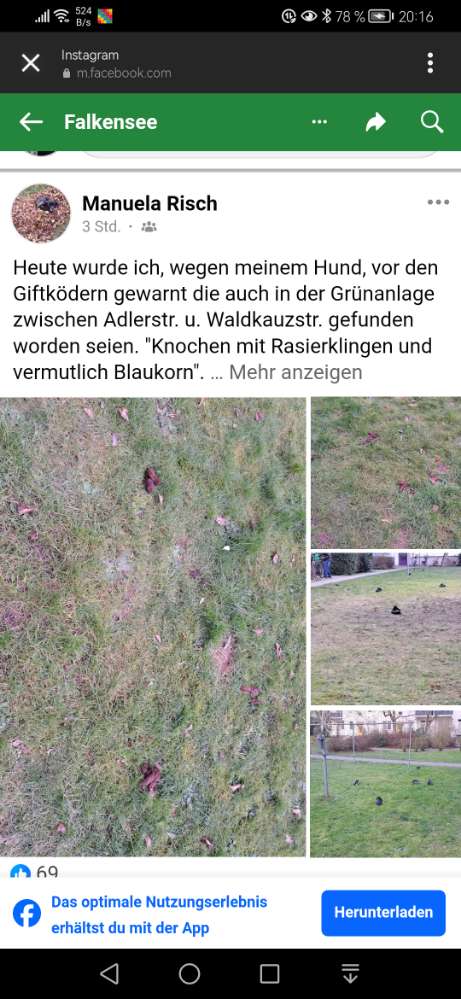 Giftköder-Giftköder-Profilbild