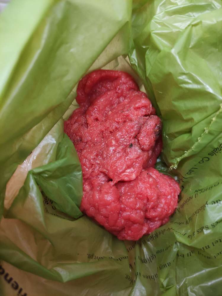 Giftköder-Evtl. Giftköder Ecke Jägerstr./Hegelalle-Profilbild