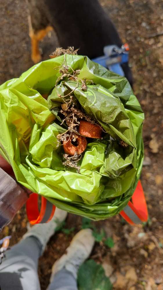 Giftköder-Verstecktes Trockenfutter-Profilbild