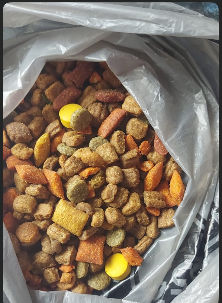 Giftköder-Eventuell Giftköder-Profilbild