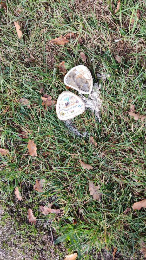 Giftköder-Leberwurst-Profilbild