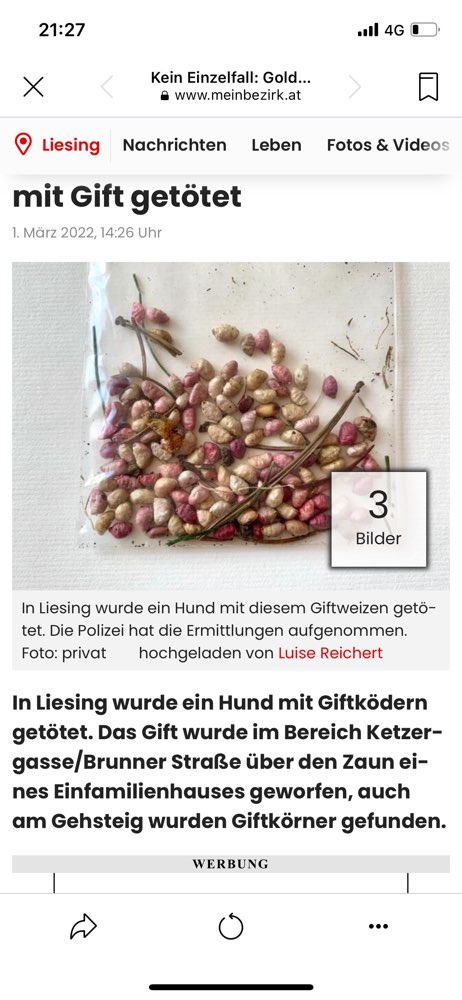 Giftköder-Giftköder-Profilbild