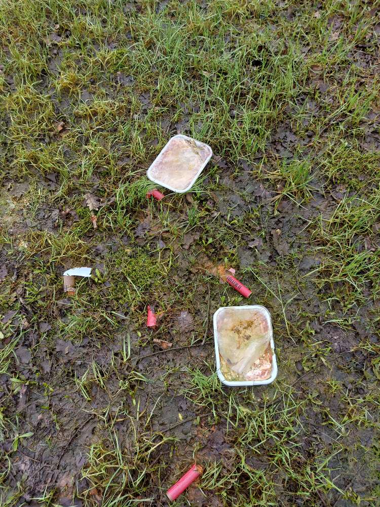 Giftköder-Verdorbene Fertiglasagne-Profilbild