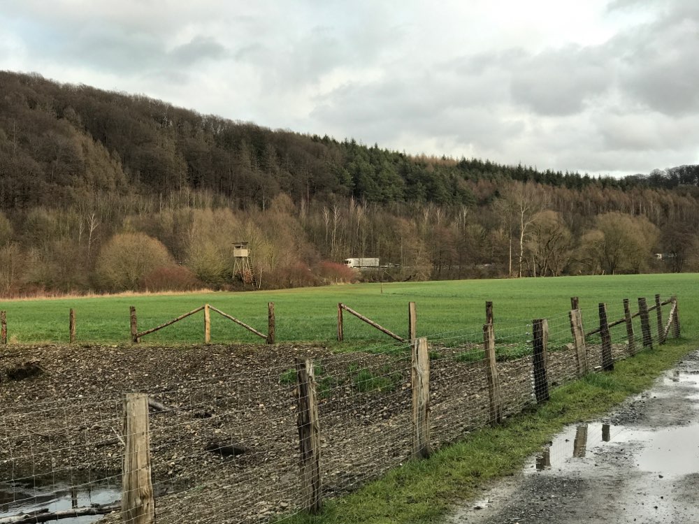 Giftköder-Rattengift Kläranlage Neheim Ruhr-Profilbild