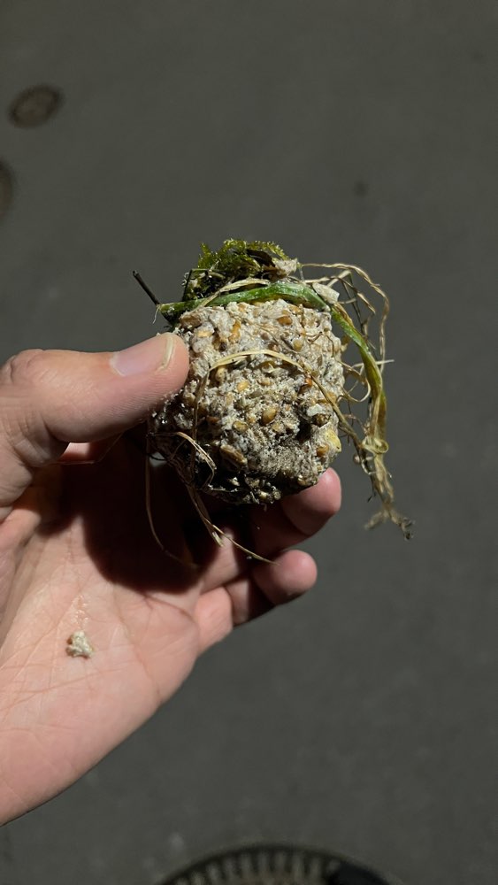 Giftköder-Evtl. Giftköder-Profilbild