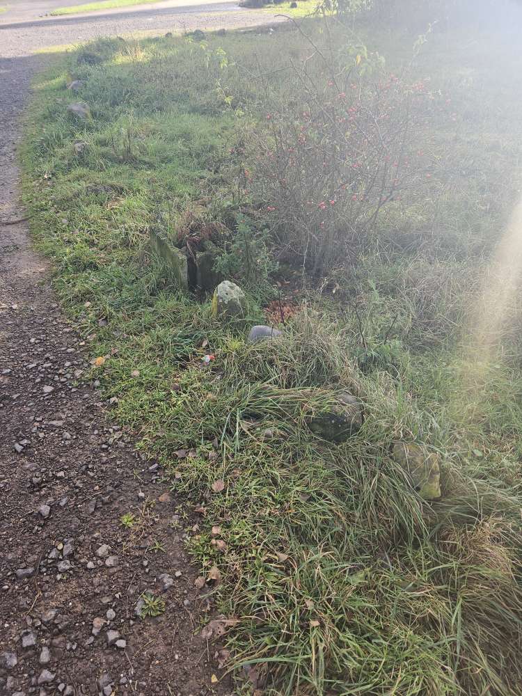 Giftköder-Essensreste-Profilbild