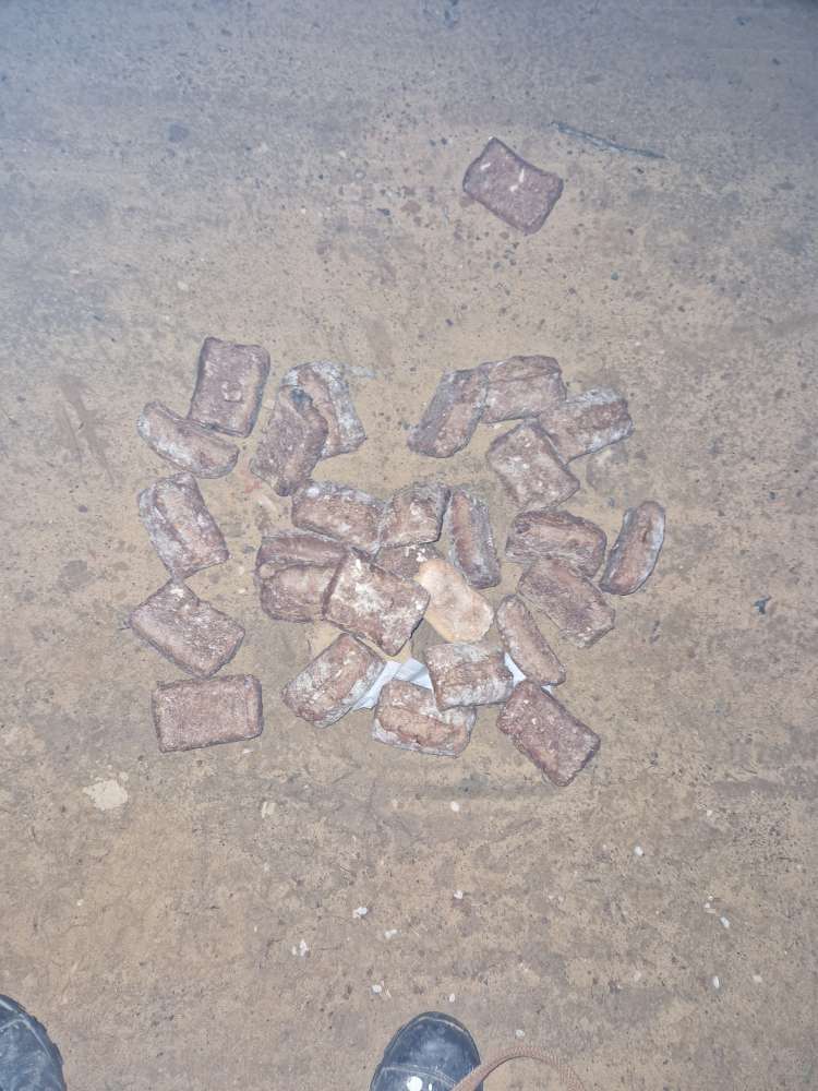 Giftköder-Möglicher Giftköder-Profilbild