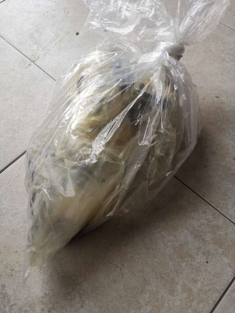 Giftköder-Giftköder Fleisch oder Wurst-Profilbild