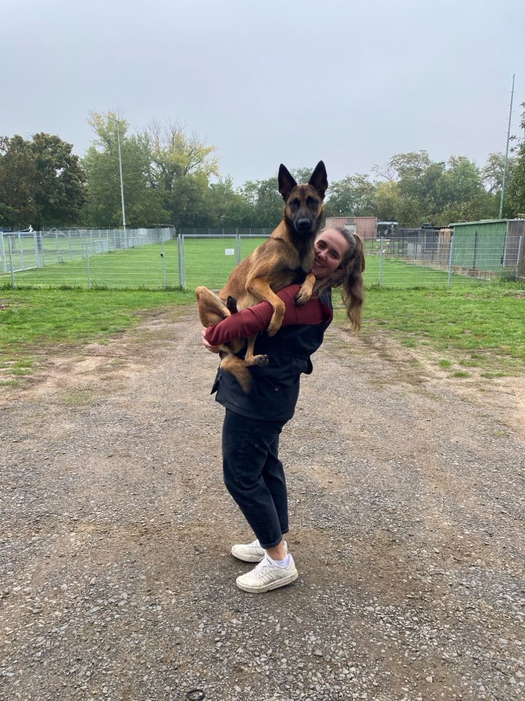 Hundetreffen-Trainingspartner Unterordnung-Profilbild