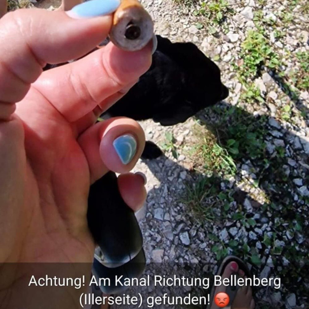 Giftköder-Wienerle gespickt mit Nägeln-Profilbild