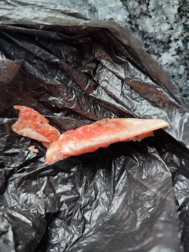 Giftköder-Fleischstück(e) mit Knochen-Profilbild