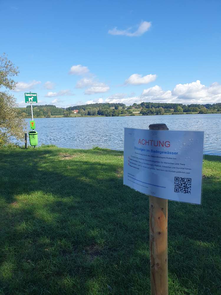 Giftköder-Vorsicht vor Blaualgen im Rottauensee-Profilbild