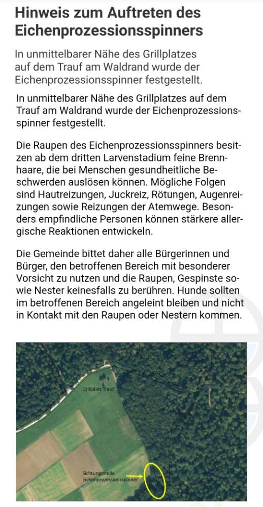 Giftköder-Eichenprozessionsspinner-Profilbild