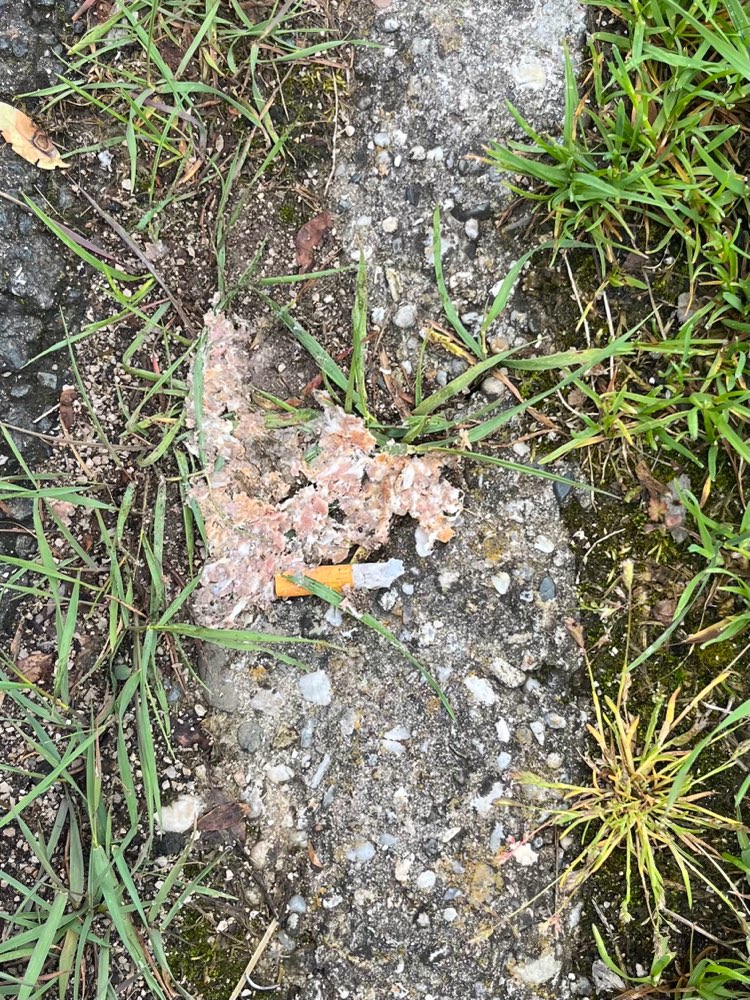 Giftköder-Giftköder in Wiese-Profilbild