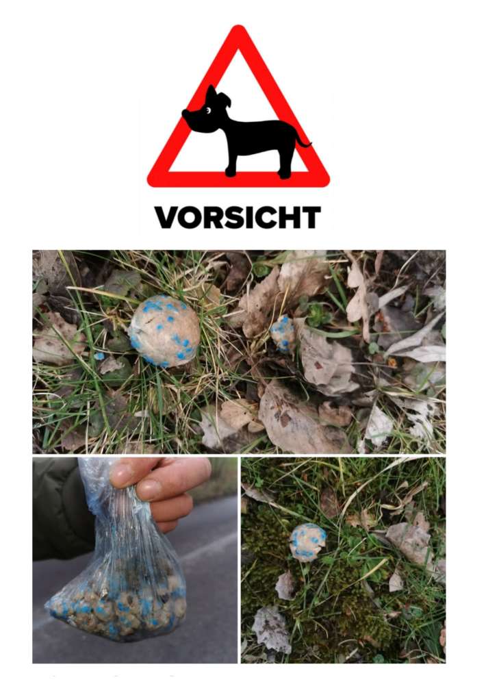 Giftköder-Giftköder-Profilbild