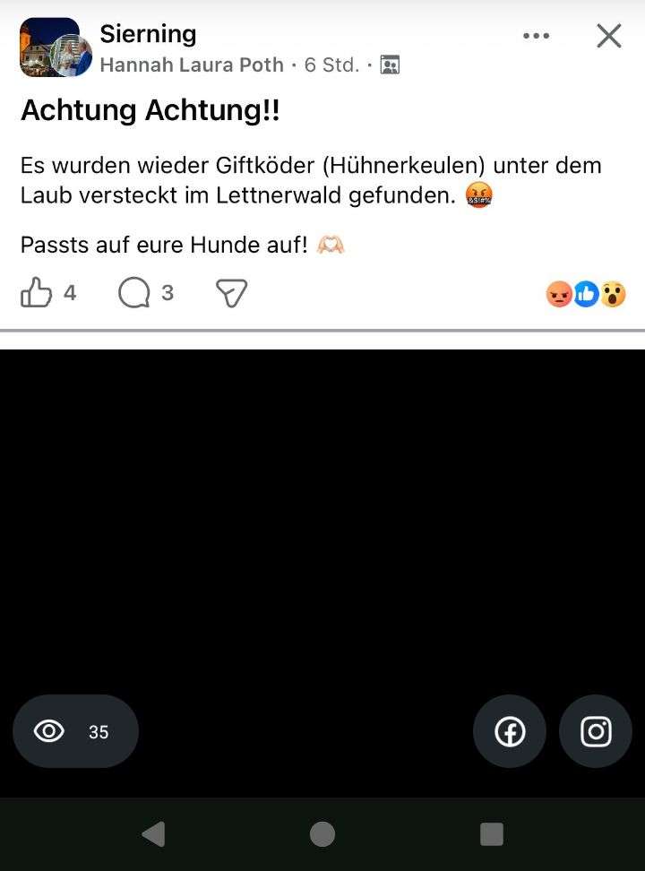 Giftköder-Vergiftete Hühnerkeulen versteckt im Laub-Profilbild