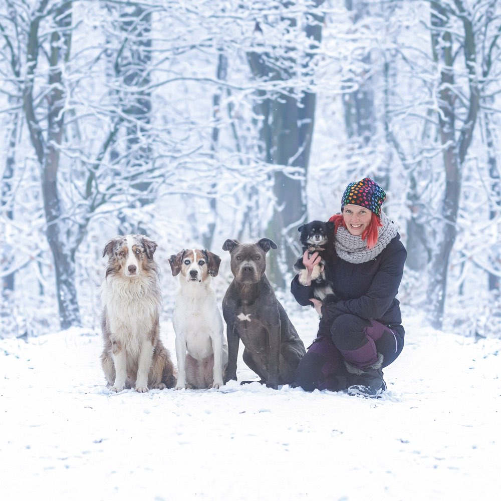 Hundetreffen-Socialwalks-Profilbild