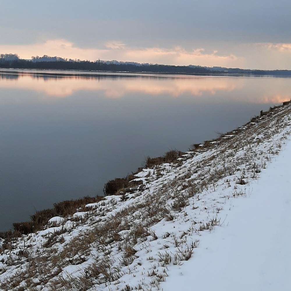 Hundetreffen-Bad Füssing/Pocking/Ering/Rotthalmünster-Profilbild