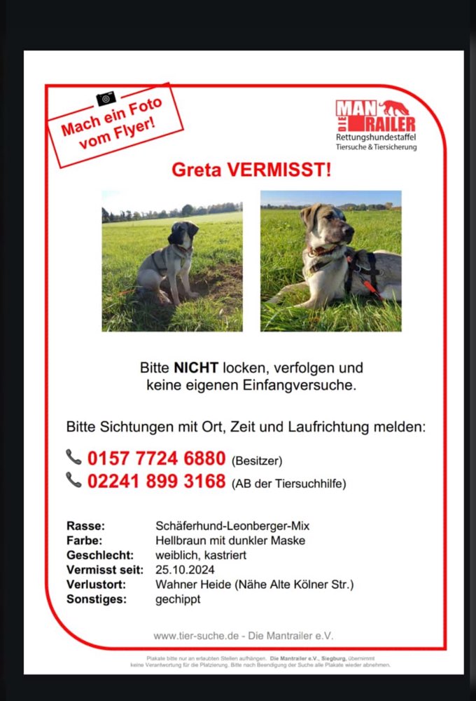 Suchmeldung-Greta-Profilbild