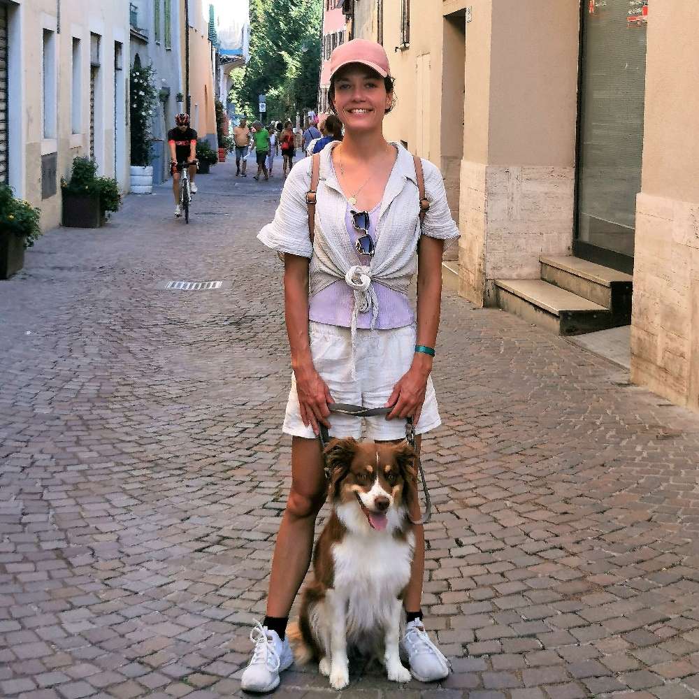 Hundetreffen-Gemeinsame Runde / Ausflüge inkl. Toben-Profilbild