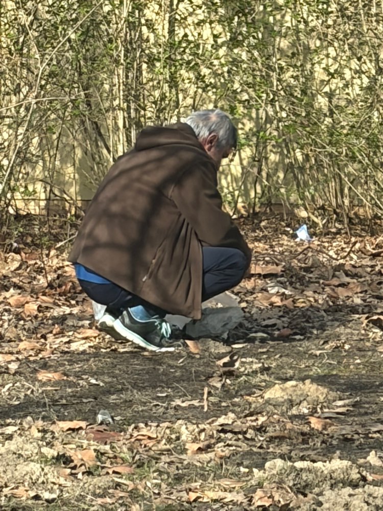 Giftköder-Giftköder-Profilbild