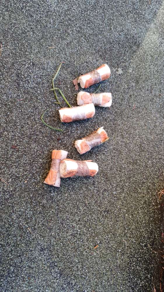 Giftköder-Giftköder-Profilbild