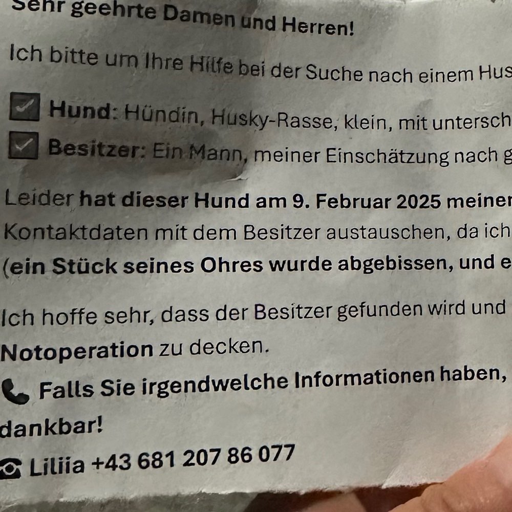 Giftköder-Gefährlicher Husky-Profilbild