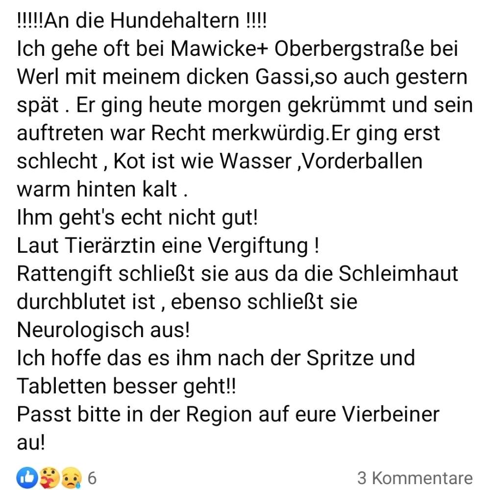 Giftköder-Verdacht auf Giftköder-Profilbild