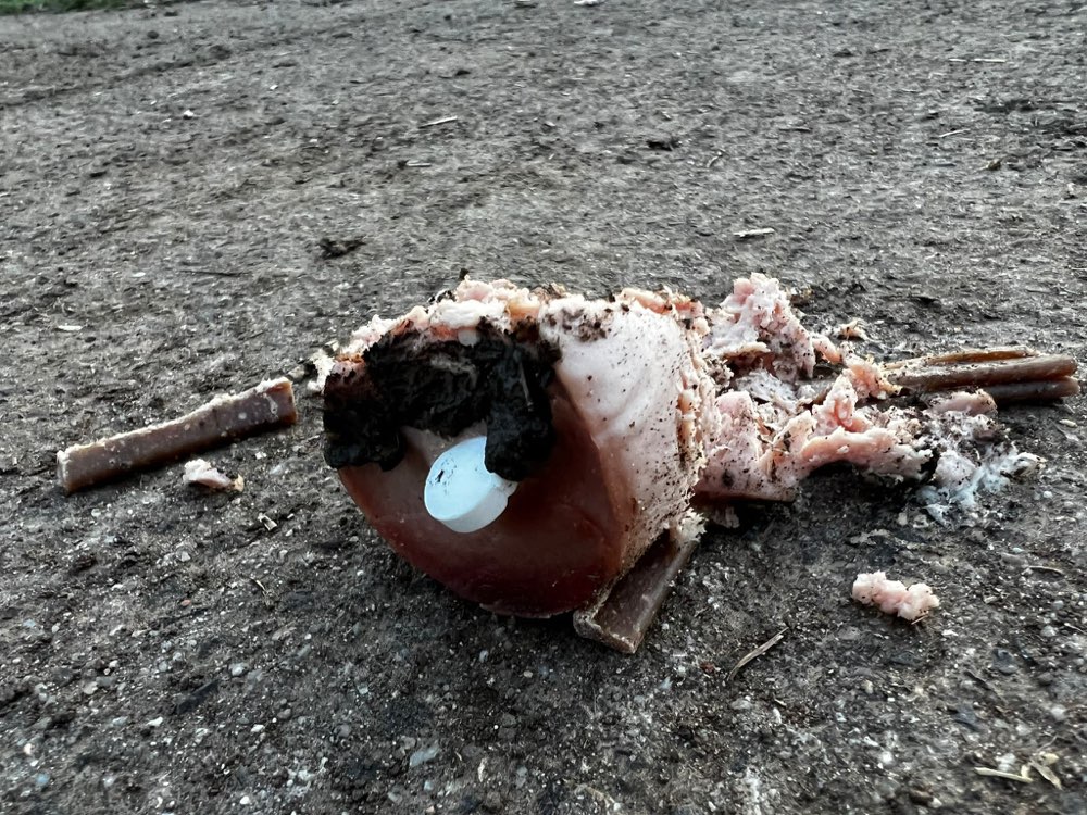 Giftköder-Giftköder-Profilbild