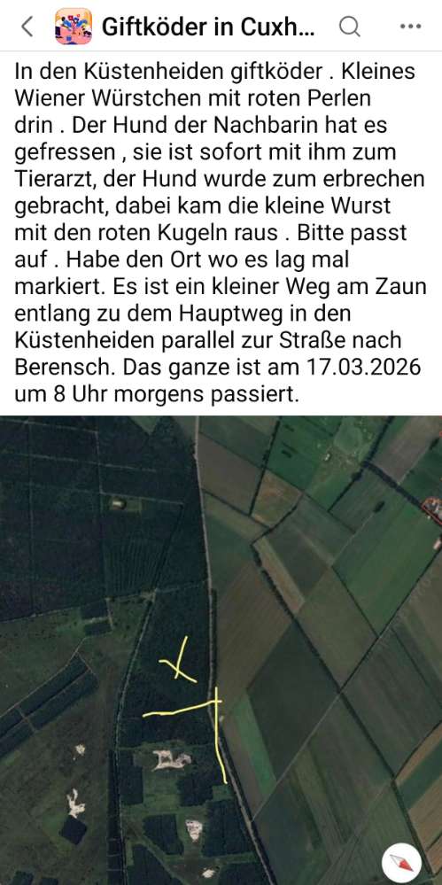 Giftköder-Würstchen mit roten Perlen-Profilbild