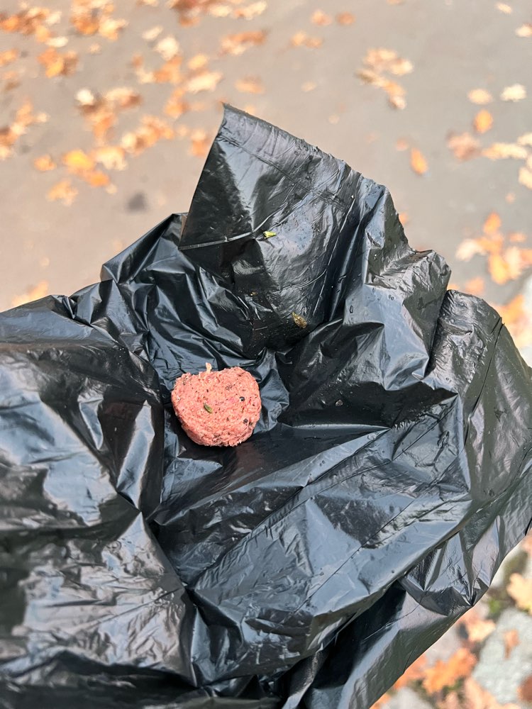 Giftköder-Fleischstück/Giftköder-Profilbild