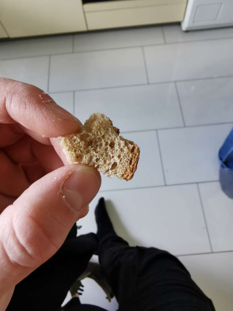 Giftköder-Potenzieller Giftköder-Profilbild